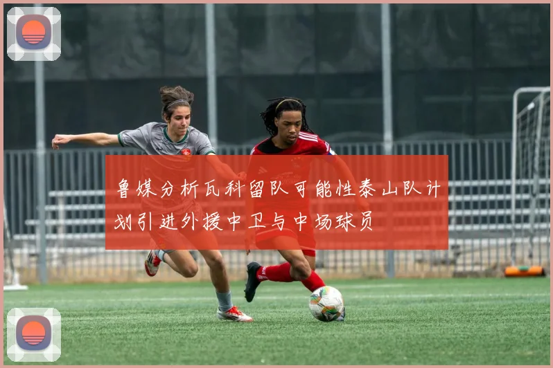 鲁媒分析瓦科留队可能性泰山队计划引进外援中卫与中场球员
