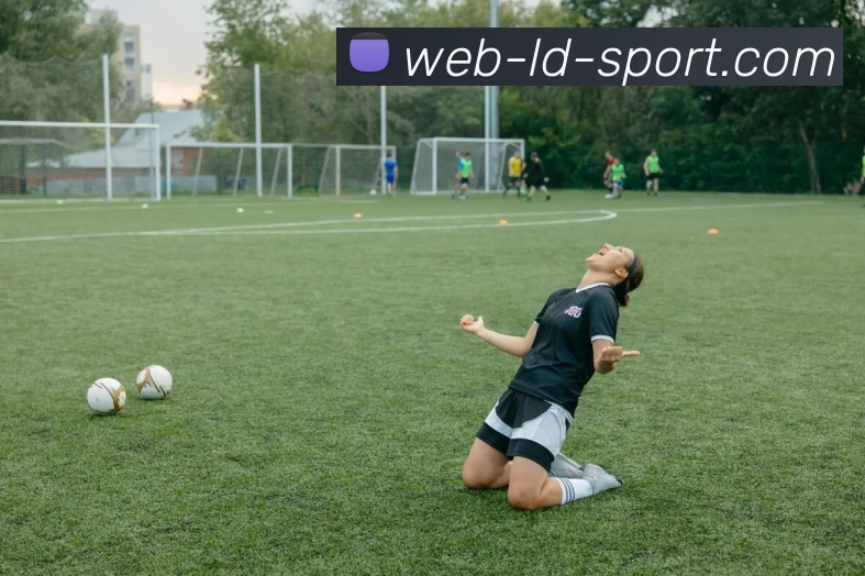 乐动体育APP 封面图